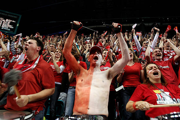 太阳队获胜 太阳队获胜